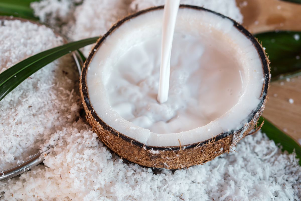 Coconut The Milk and Water