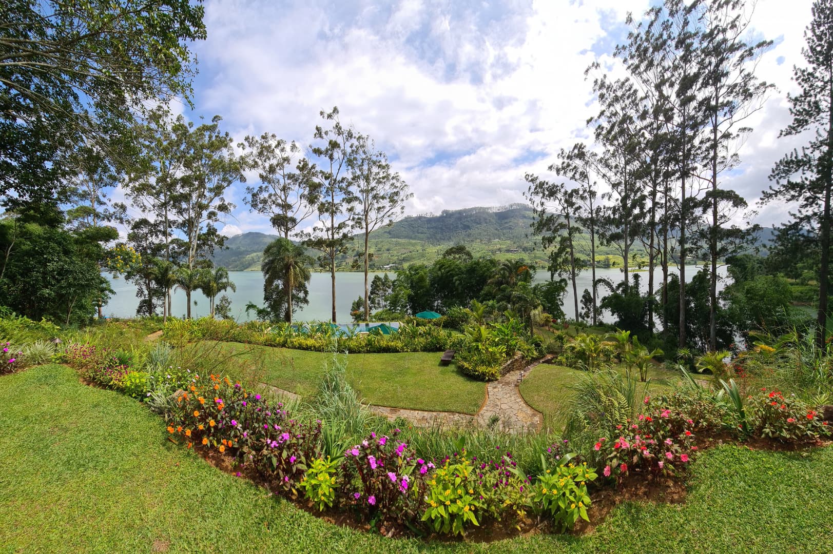 The Green Thumb Behind Ceylon Tea Trails