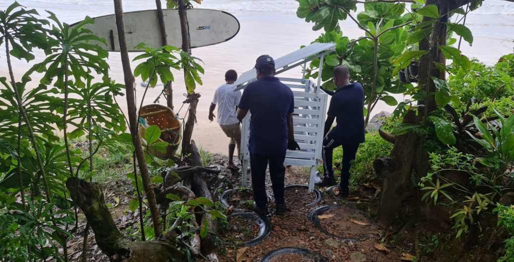 Walking into the forest