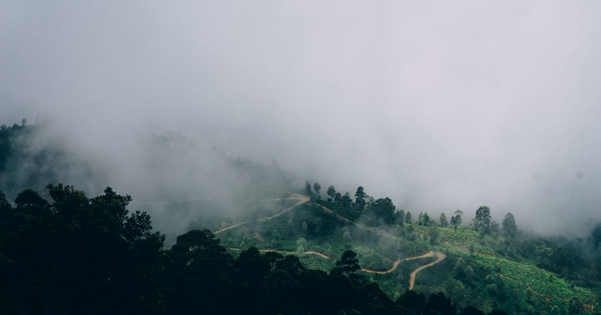 Mountain View with fog