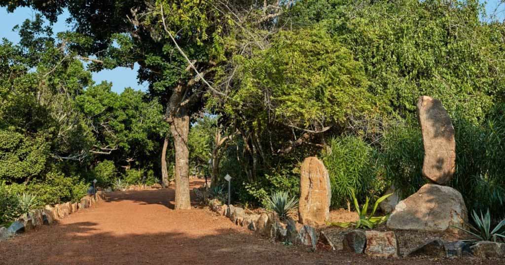 Creating Wild Coast Tented Lodge