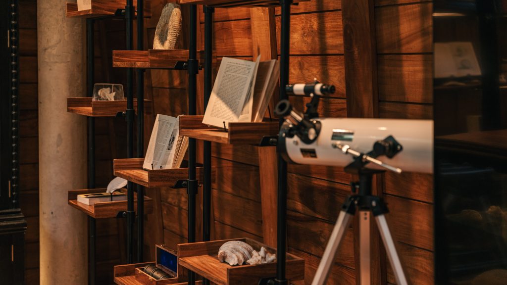 Fossil Room - Kids' Club