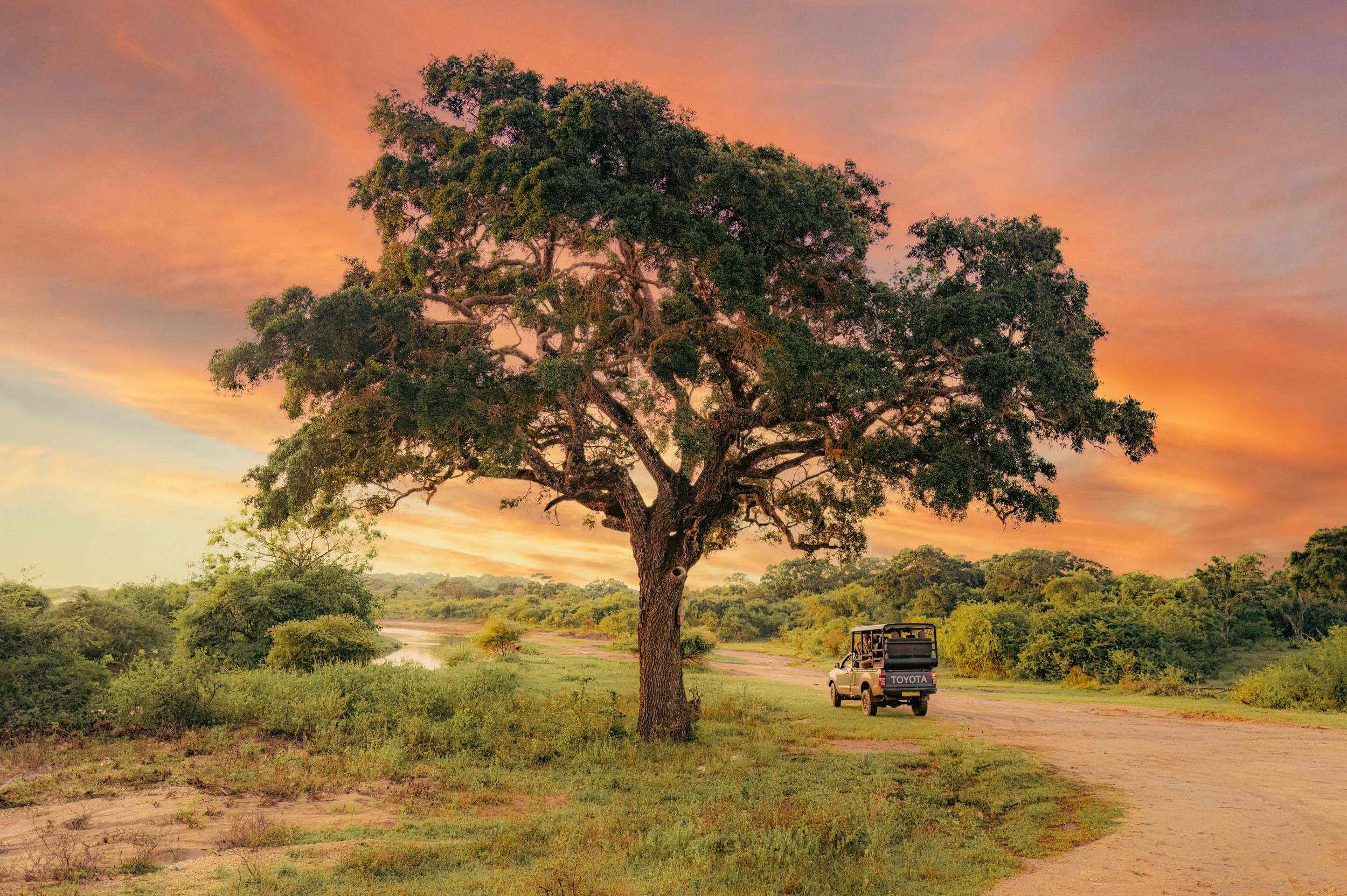 Game drive at Wild Coast Tented Lodge
