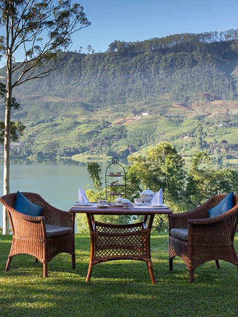 Garden-with-owner-cottage-desk-480×640-1