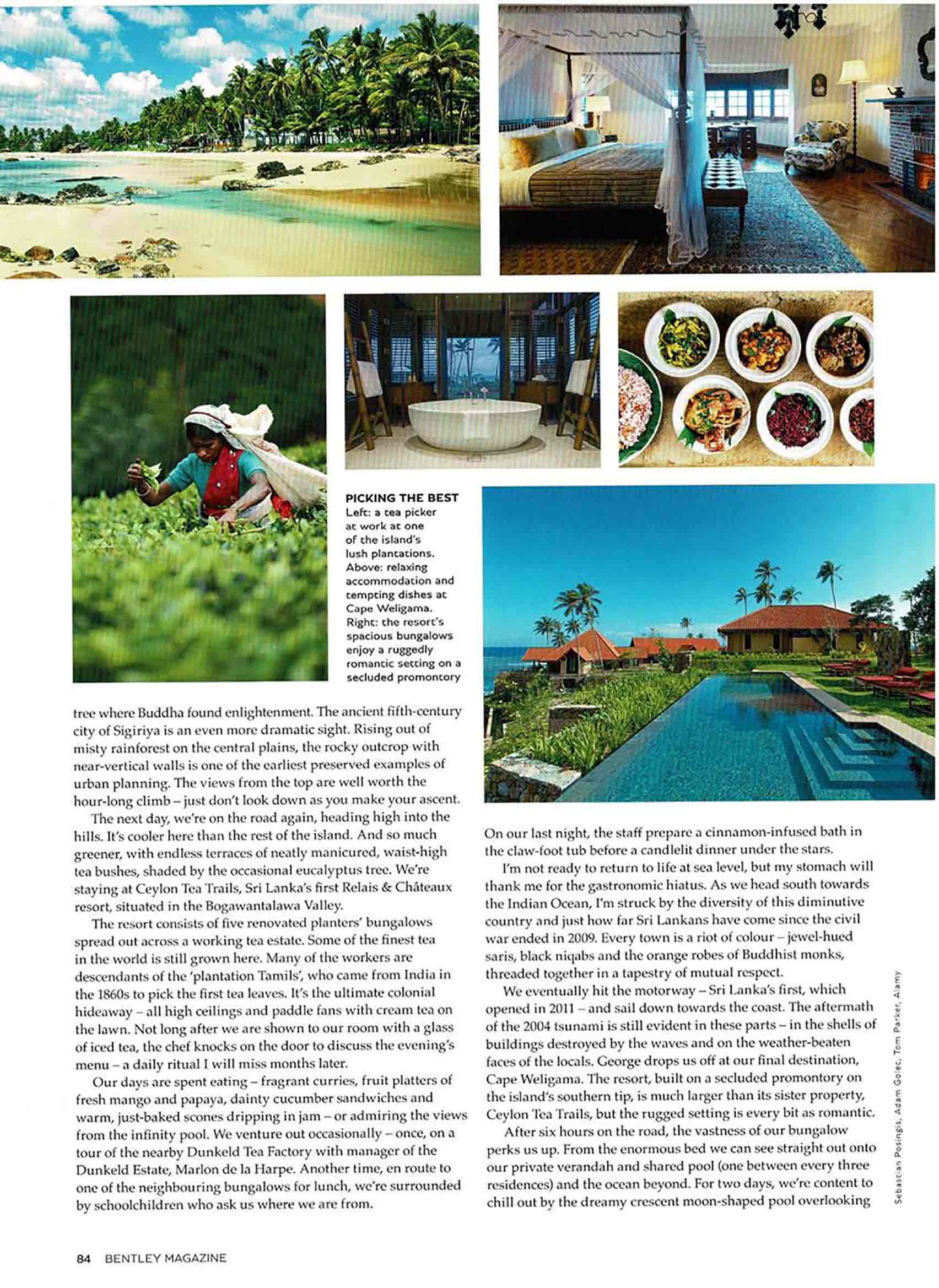 Temples Trunk And Tranquility 