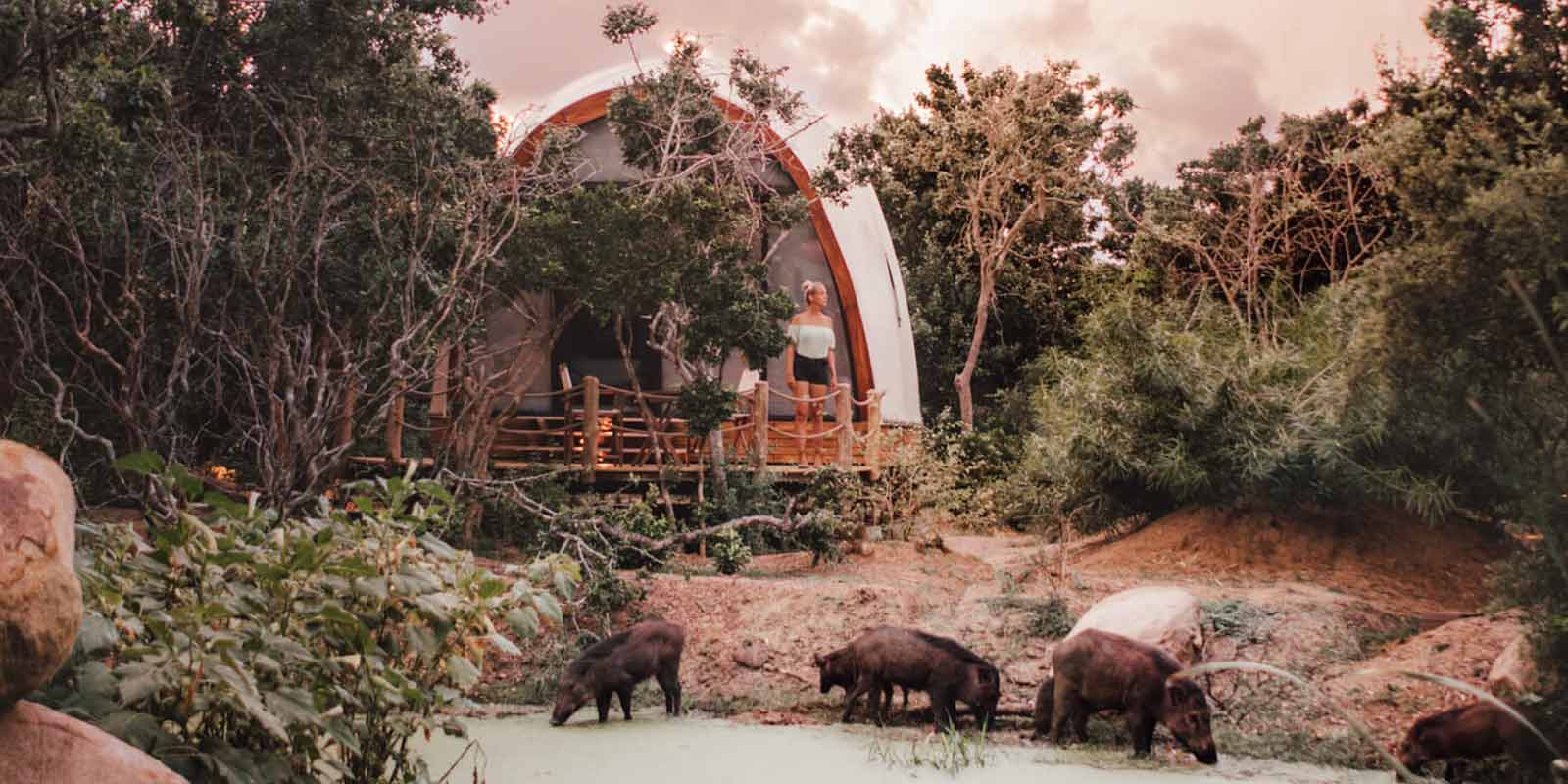 Watering-Holes-Gallery-1600×800-1