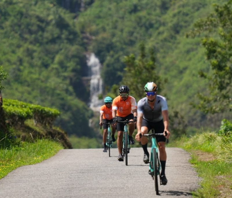 STAGE 4 IMAGE – 800 x 685